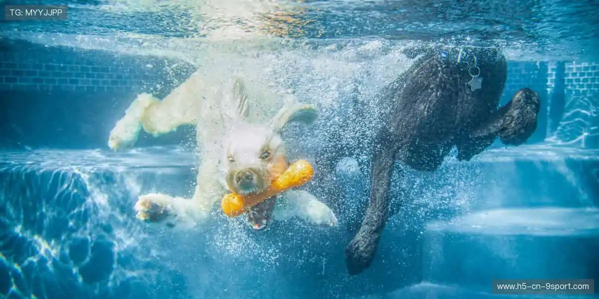 点燃激情，成就传奇！🔥